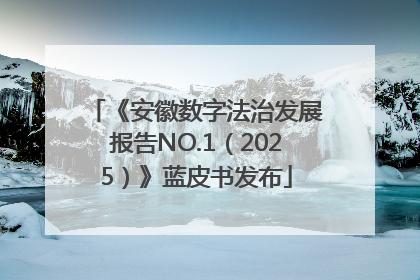 《安徽数字法治发展报告NO.1（2025）》蓝皮书发布