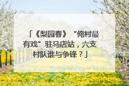 《梨园春》“俺村最有戏”驻马店站，六支村队谁与争锋？