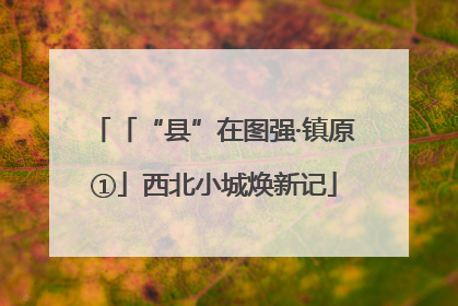 「“县”在图强·镇原①」西北小城焕新记