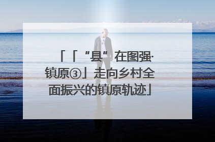 「“县”在图强·镇原③」走向乡村全面振兴的镇原轨迹
