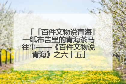 「百件文物说青海」一纸布告里的青海茶马往事——《百件文物说青海》之六十五