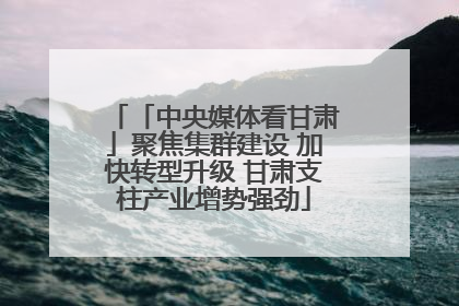 「中央媒体看甘肃」聚焦集群建设 加快转型升级 甘肃支柱产业增势强劲