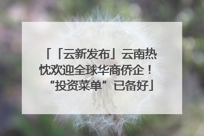「云新发布」云南热忱欢迎全球华商侨企！“投资菜单”已备好