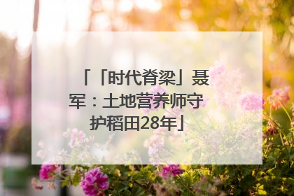 「时代脊梁」聂军：土地营养师守护稻田28年