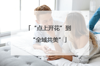 “点上开花”到“全域共美”