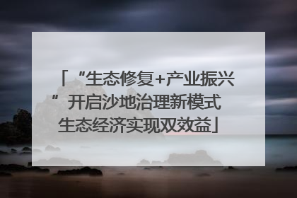 “生态修复+产业振兴”开启沙地治理新模式 生态经济实现双效益