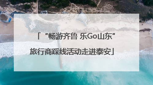 “畅游齐鲁 乐Go山东”旅行商踩线活动走进泰安