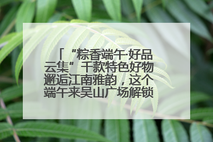 “粽香端午·好品云集”千款特色好物邂逅江南雅韵，这个端午来吴山广场解锁“浙里烟火气”