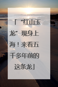 “红山玉龙”现身上海！来看五千多年前的这条龙