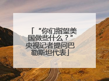 “你们指望美国做些什么？”央视记者提问巴勒斯坦代表