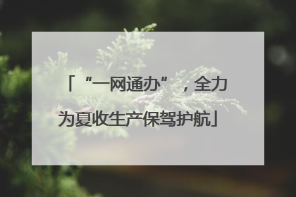 “一网通办”，全力为夏收生产保驾护航