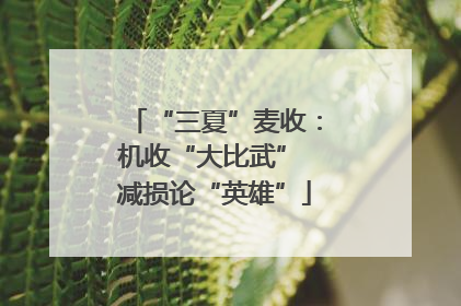 “三夏”麦收：机收“大比武” 减损论“英雄”