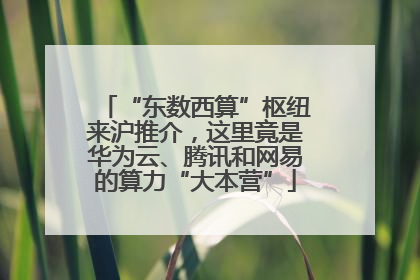 “东数西算”枢纽来沪推介，这里竟是华为云、腾讯和网易的算力“大本营”