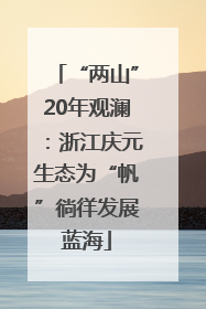 “两山”20年观澜：浙江庆元生态为“帆”徜徉发展蓝海
