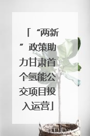 “两新”政策助力甘肃首个氢能公交项目投入运营