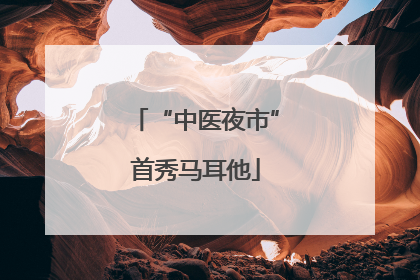 “中医夜市”首秀马耳他