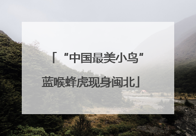 “中国最美小鸟”蓝喉蜂虎现身闽北