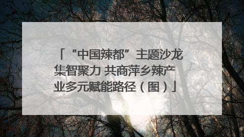 “中国辣都”主题沙龙集智聚力 共商萍乡辣产业多元赋能路径（图）