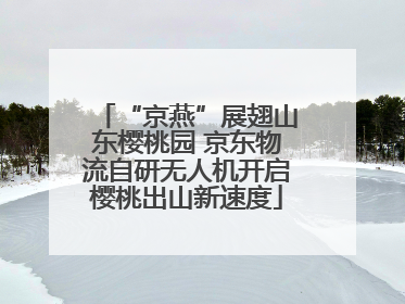 “京燕”展翅山东樱桃园 京东物流自研无人机开启樱桃出山新速度