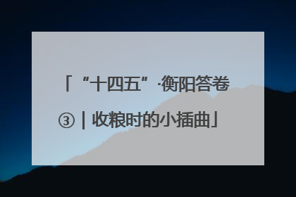 “十四五”·衡阳答卷③｜收粮时的小插曲