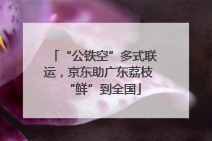 “公铁空”多式联运，京东助广东荔枝“鲜”到全国