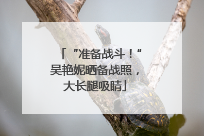 “准备战斗！”吴艳妮晒备战照，大长腿吸睛
