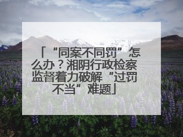 “同案不同罚”怎么办？湘阴行政检察监督着力破解“过罚不当”难题