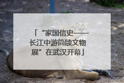 “家国信史——长江中游简牍文物展”在武汉开幕