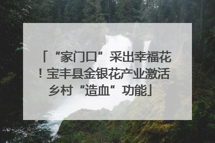 “家门口”采出幸福花！宝丰县金银花产业激活乡村“造血”功能