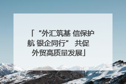 “外汇筑基 信保护航 银企同行” 共促外贸高质量发展