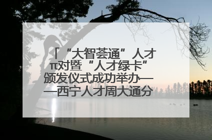 “大智荟通”人才π对暨“人才绿卡”颁发仪式成功举办——西宁人才周大通分会场亮点纷呈