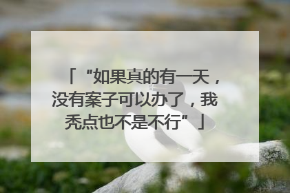 “如果真的有一天，没有案子可以办了，我秃点也不是不行”