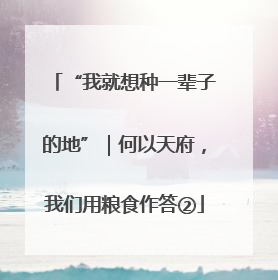 “我就想种一辈子的地”｜何以天府，我们用粮食作答②