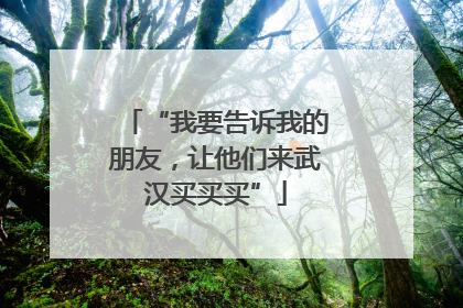 “我要告诉我的朋友，让他们来武汉买买买”