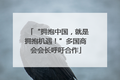 “拥抱中国，就是拥抱机遇！”多国商会会长呼吁合作