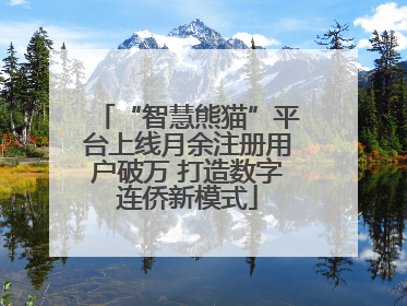 “智慧熊猫”平台上线月余注册用户破万 打造数字连侨新模式