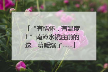 “有情怀，有温度！”南漳水镜庄前的这一幕暖爆了……