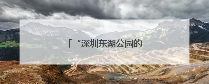 “深圳东湖公园的鱼可以吃吗？”