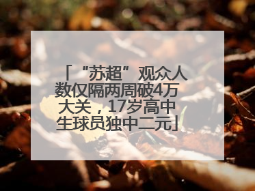 “苏超”观众人数仅隔两周破4万大关，17岁高中生球员独中二元