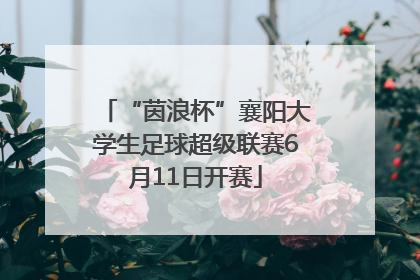 “茵浪杯”襄阳大学生足球超级联赛6月11日开赛