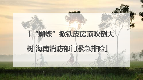 “蝴蝶”掀铁皮房顶吹倒大树 海南消防部门紧急排险