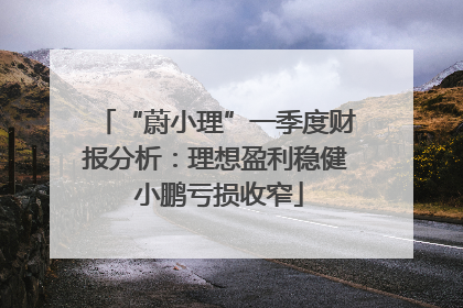 “蔚小理”一季度财报分析：理想盈利稳健 小鹏亏损收窄