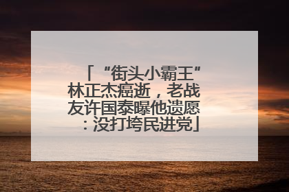 “街头小霸王”林正杰癌逝，老战友许国泰曝他遗愿：没打垮民进党