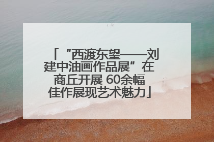 “西渡东望——刘建中油画作品展”在商丘开展 60余幅佳作展现艺术魅力