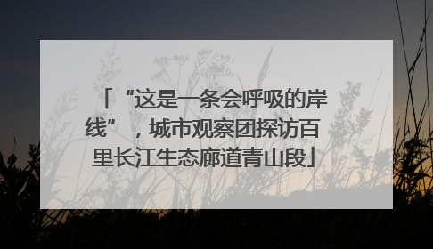 “这是一条会呼吸的岸线”，城市观察团探访百里长江生态廊道青山段