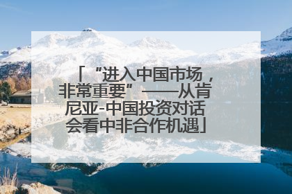 “进入中国市场，非常重要”——从肯尼亚-中国投资对话会看中非合作机遇