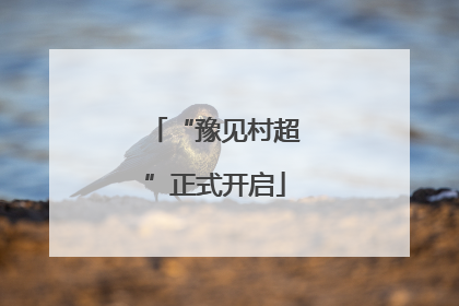 “豫见村超”正式开启