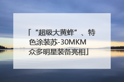 “超级大黄蜂”、特色涂装苏-30MKM 众多明星装备亮相