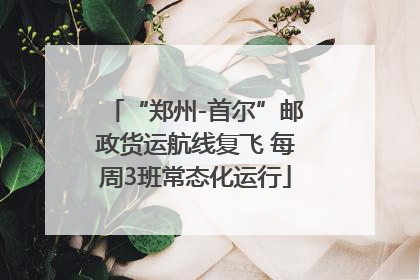 “郑州-首尔”邮政货运航线复飞 每周3班常态化运行
