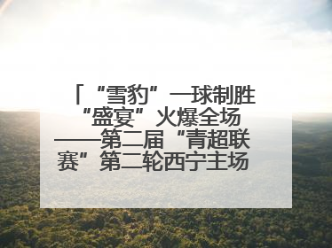 “雪豹”一球制胜 “盛宴”火爆全场——第二届“青超联赛”第二轮西宁主场比赛见闻